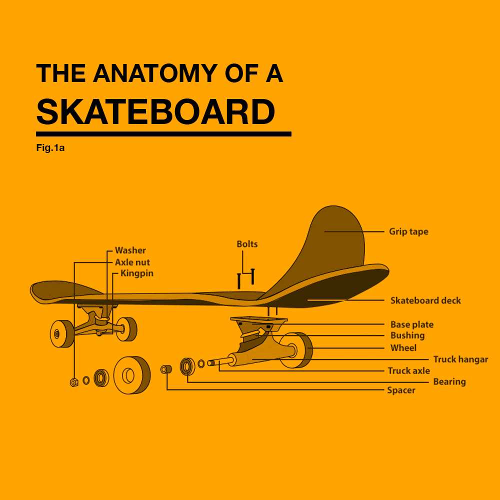 skateboard parts diagram skateboard parts diagram