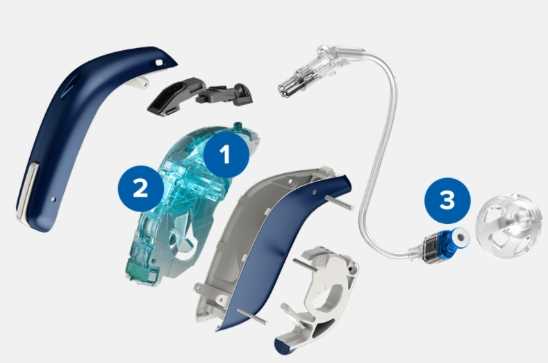 oticon hearing aid parts diagram
