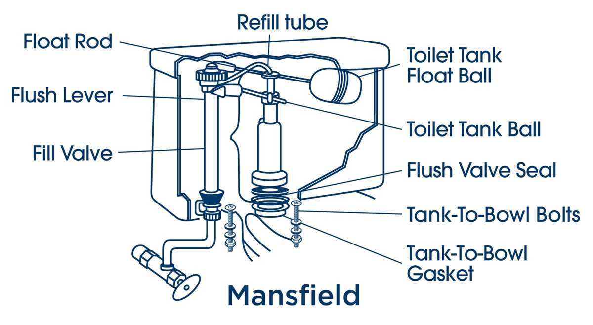 mansfield toilet parts diagram mansfield toilet parts diagram