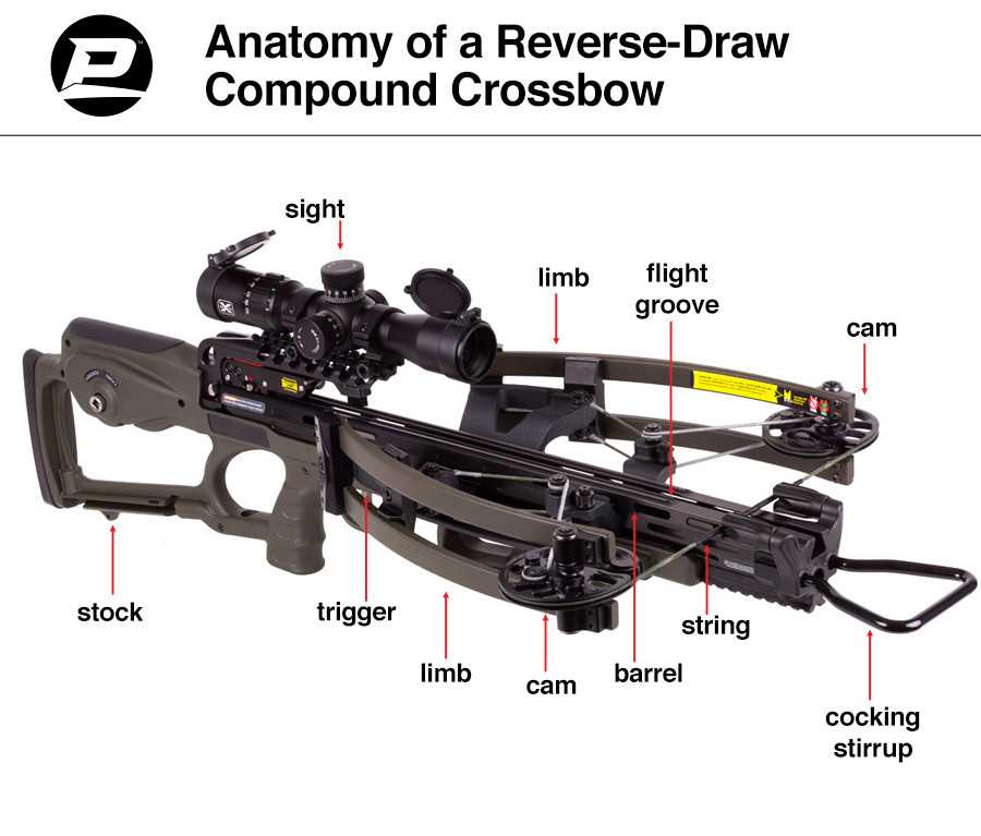 parts of a crossbow diagram