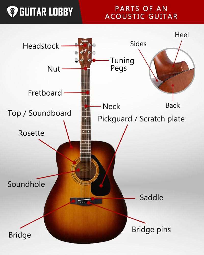 parts of a guitar diagram parts of a guitar diagram