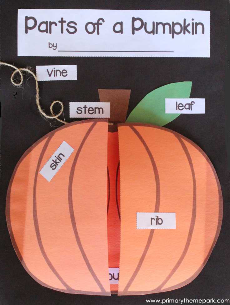 parts of a pumpkin diagram parts of a pumpkin diagram