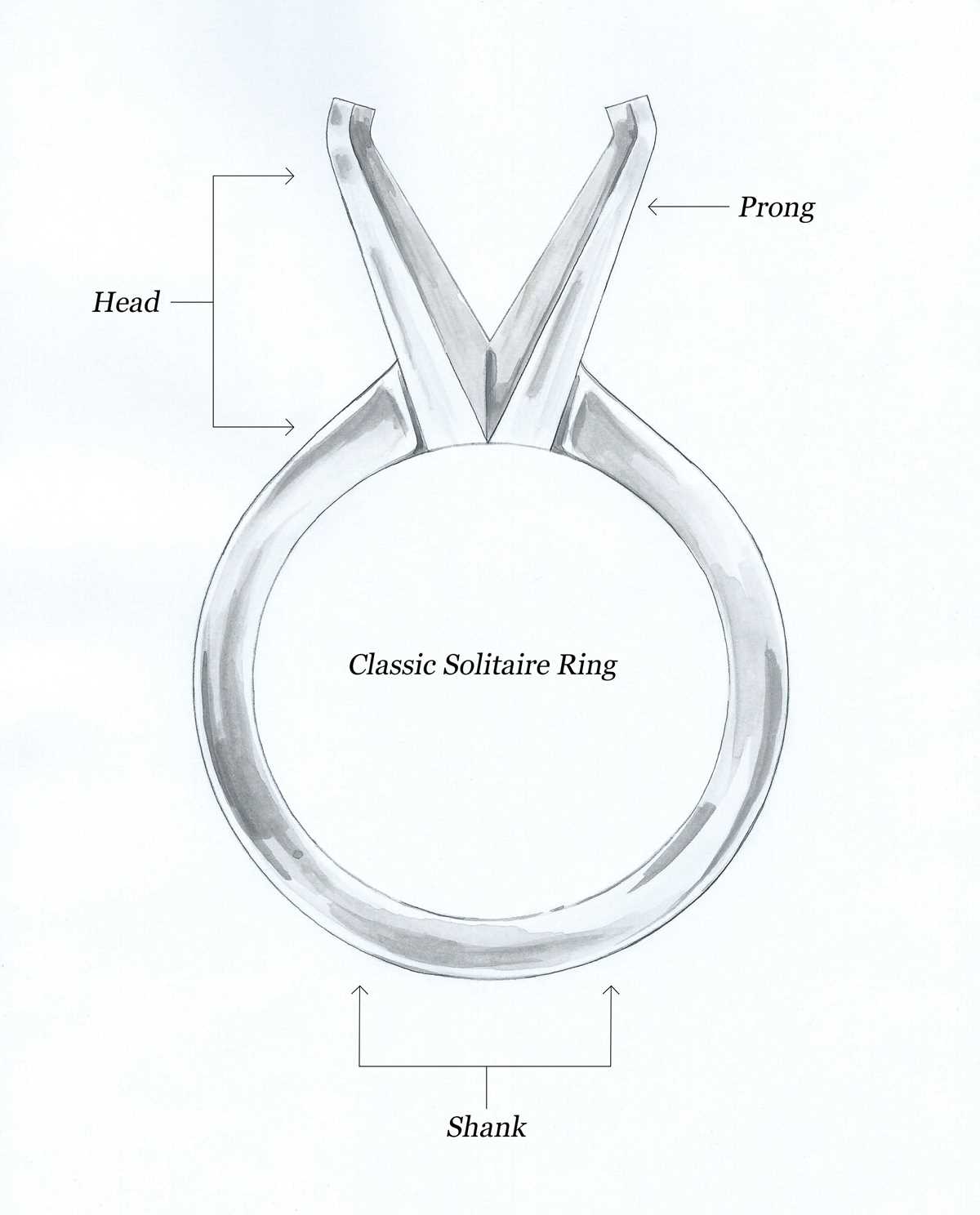 parts of a ring diagram