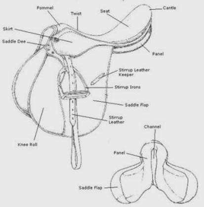 parts of a saddle diagram parts of a saddle diagram
