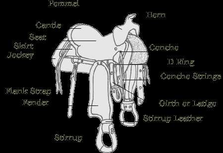 parts of a western saddle diagram