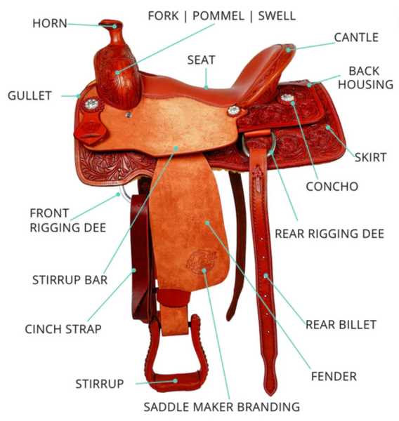 parts of a western saddle diagram