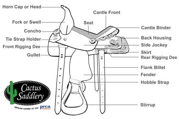 parts of the saddle diagram