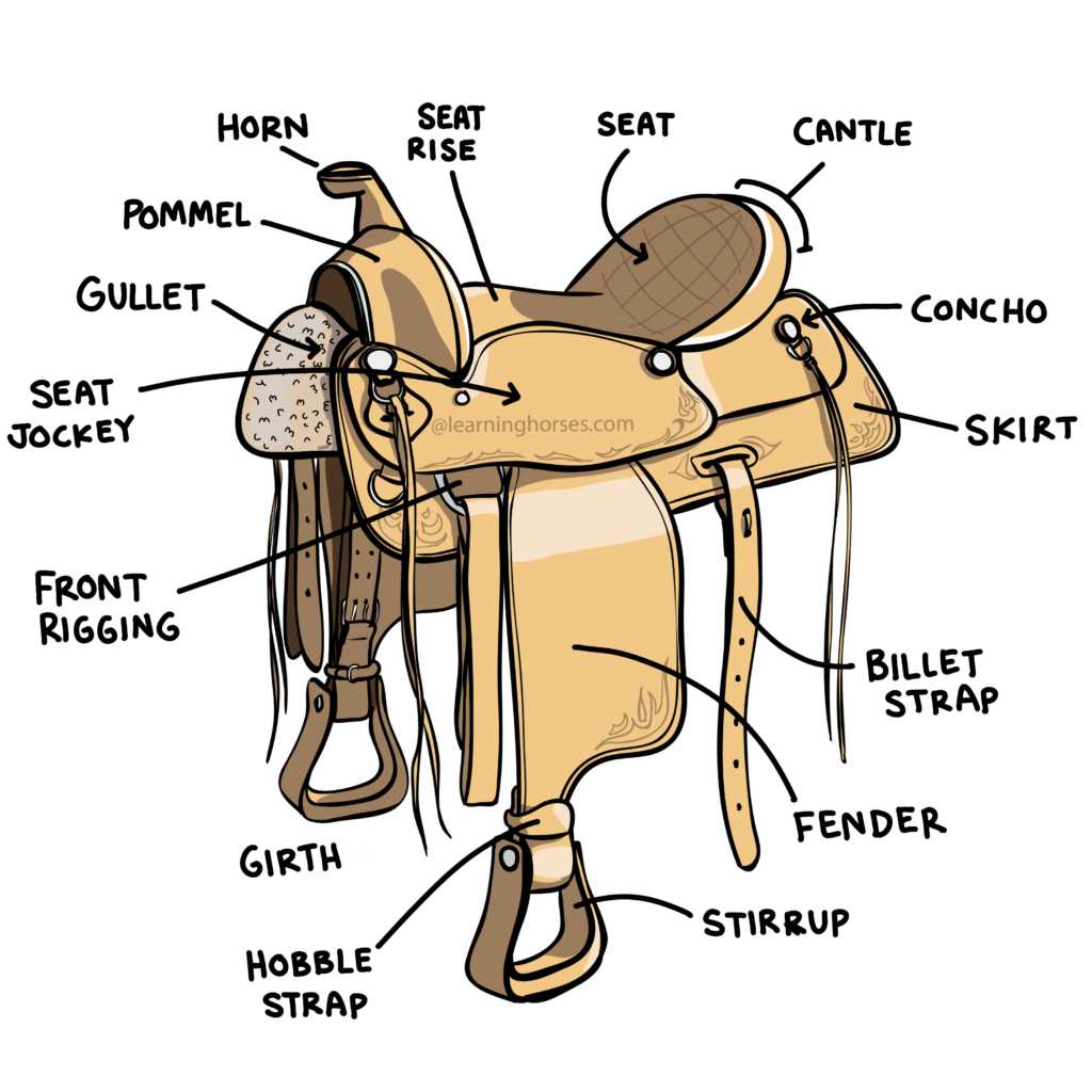 parts of western saddle diagram