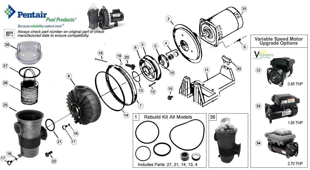 pentair superflo pump parts diagram pentair superflo pump parts diagram