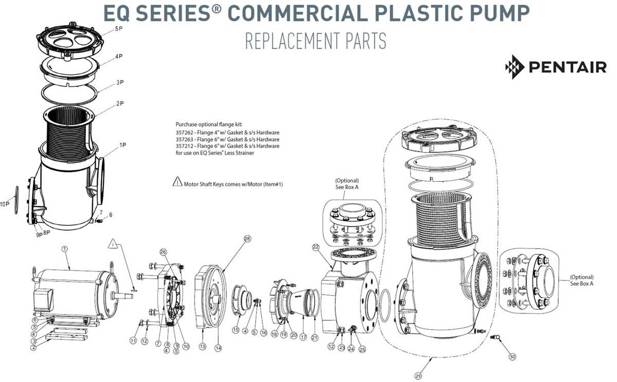 pool pump parts diagram pool pump parts diagram