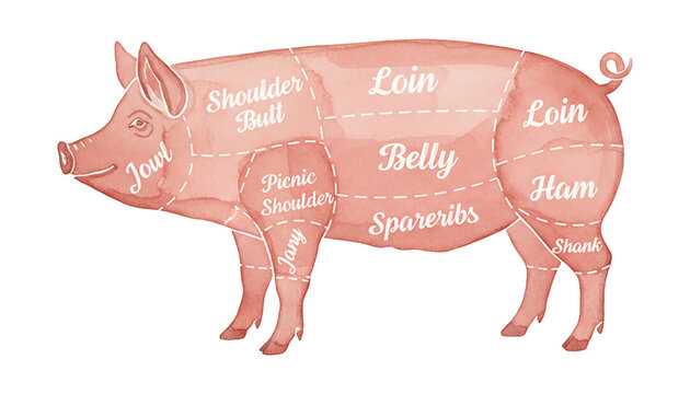 parts of a hog diagram parts of a hog diagram
