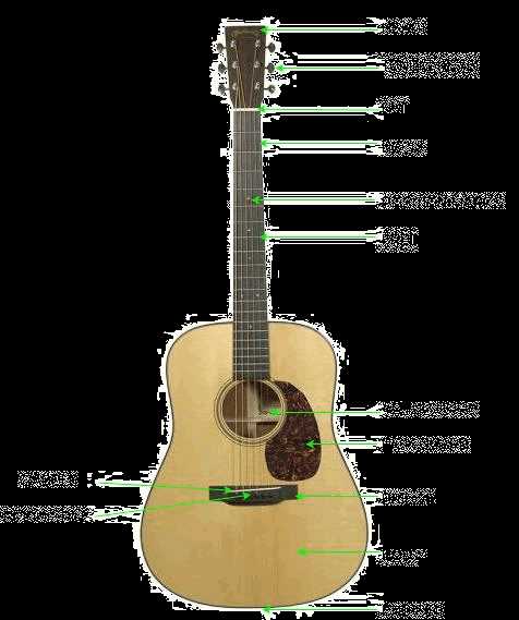diagram of acoustic guitar parts