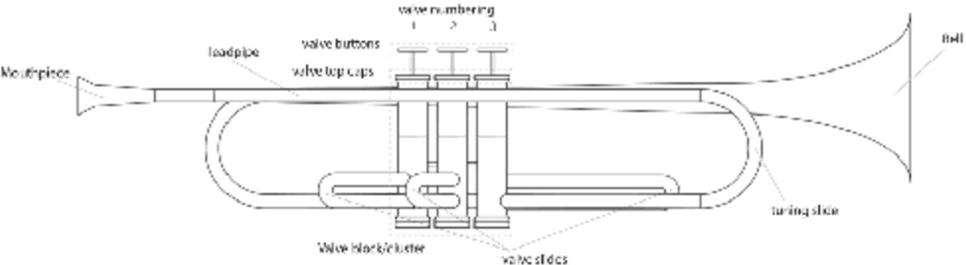 trumpet parts diagram