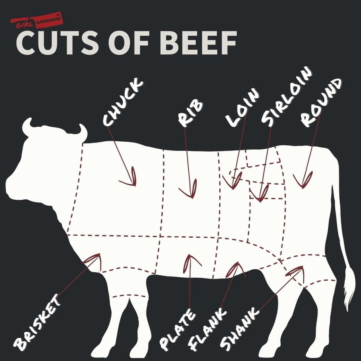 cattle parts diagram cattle parts diagram