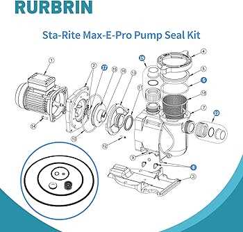 sta rite pump parts diagram sta rite pump parts diagram