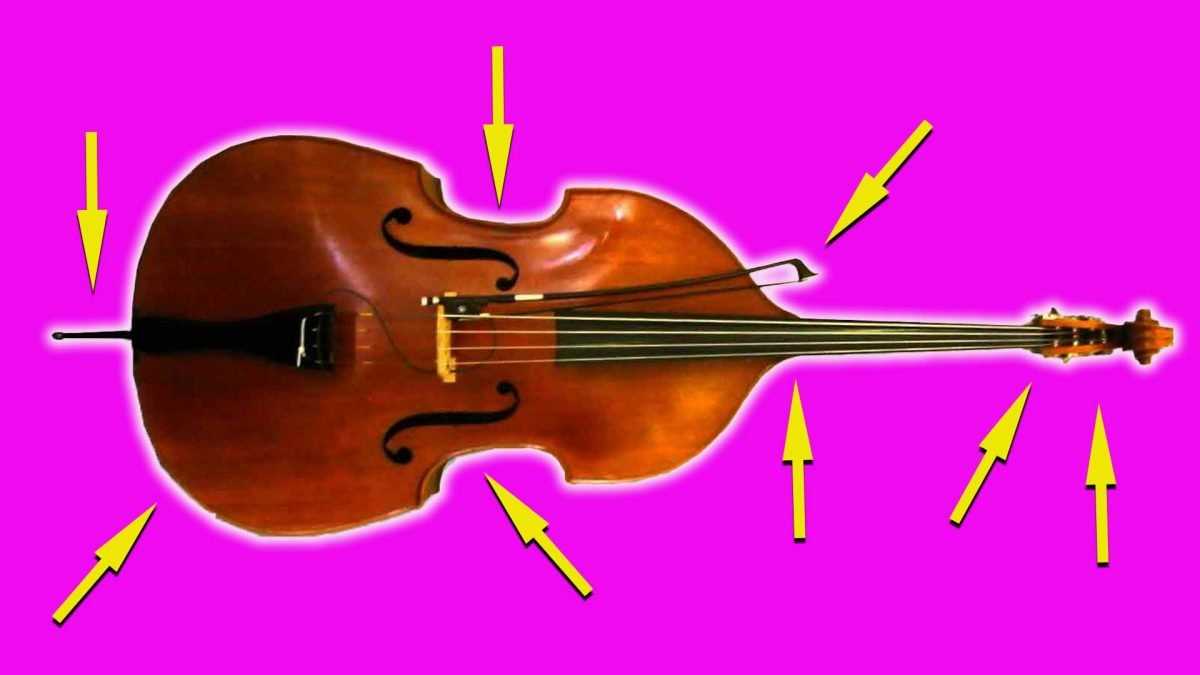 bass parts diagram