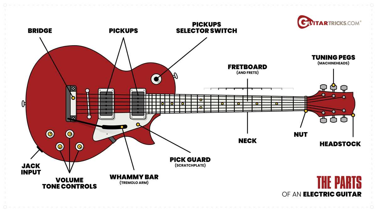 electric bass parts diagram