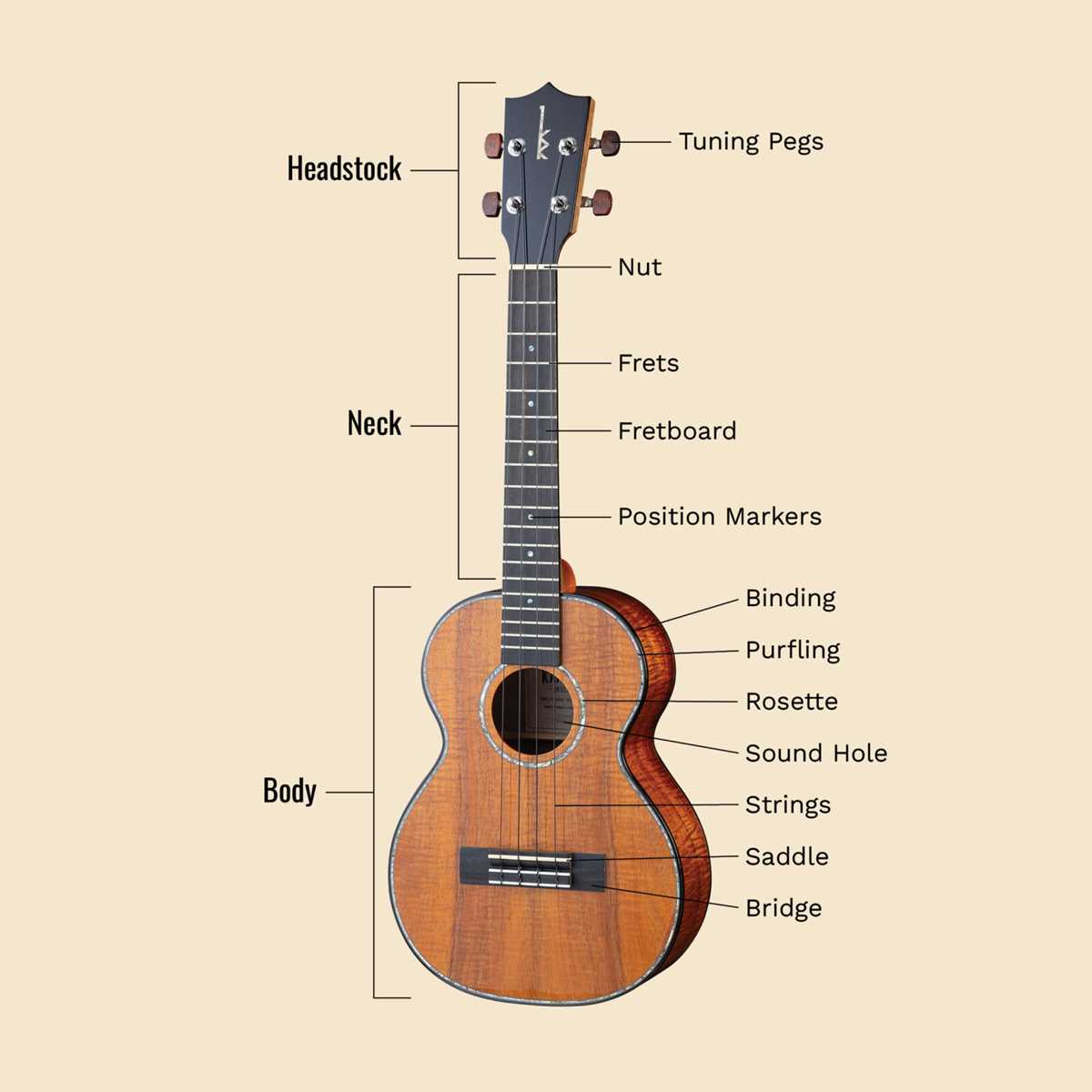ukulele diagram of parts ukulele diagram of parts