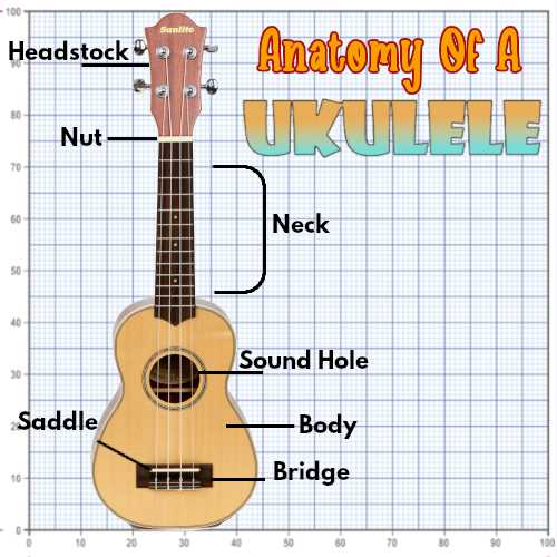 ukulele parts diagram ukulele parts diagram