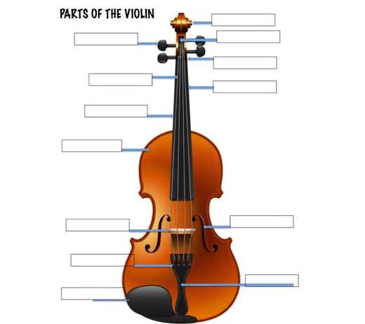 violin parts diagram violin parts diagram