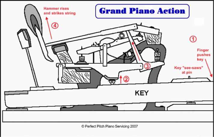 piano parts diagram piano parts diagram