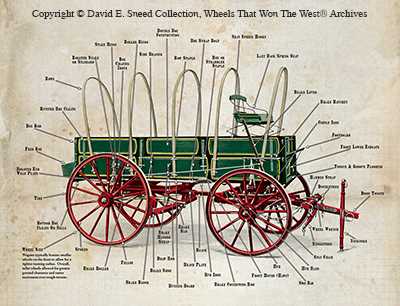 horse drawn wagon parts diagram