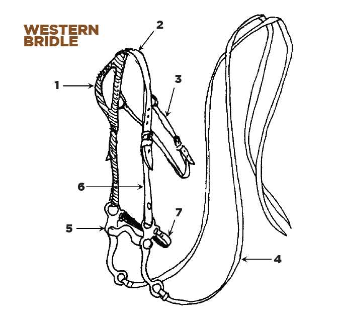 saddle parts diagram saddle parts diagram