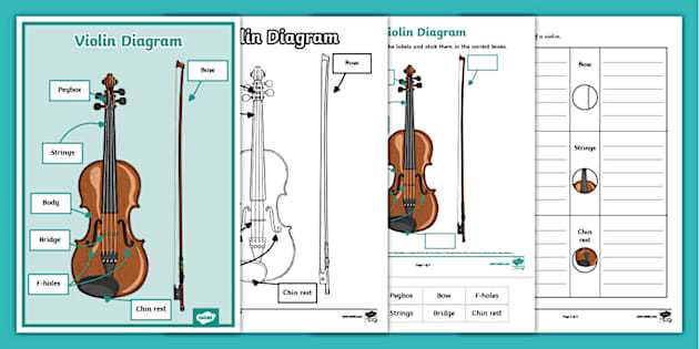 violin parts diagram violin parts diagram
