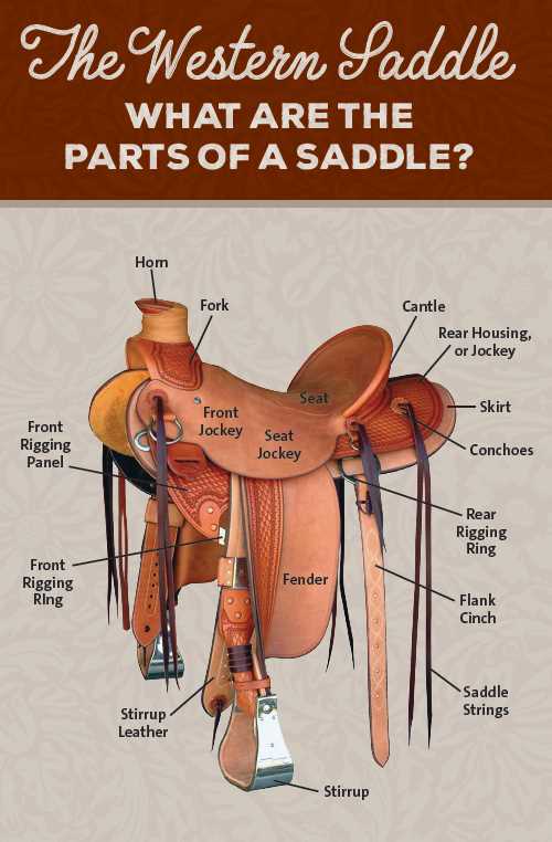 diagram of saddle parts