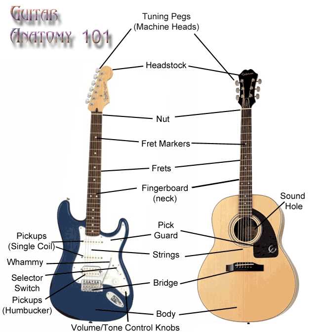 parts of a guitar diagram acoustic