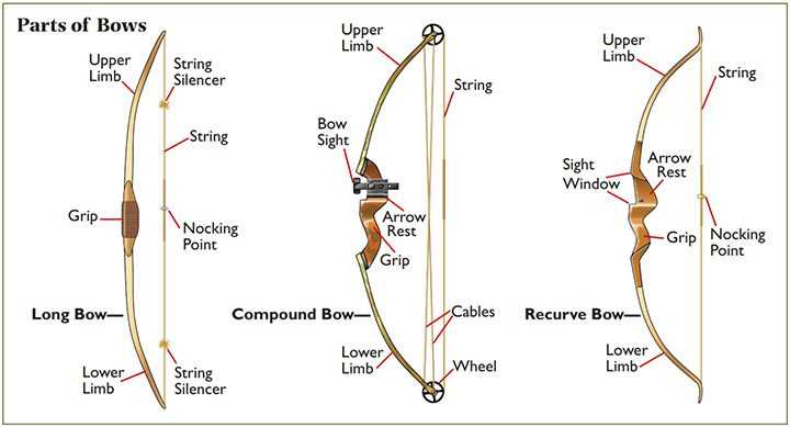 parts of a bow diagram